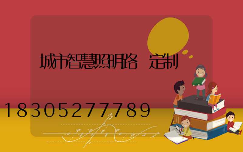 城市智慧照明路燈定制