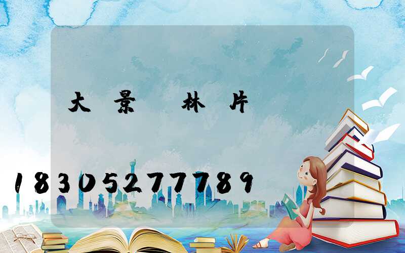 大樹景觀園林圖片