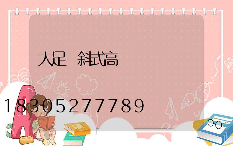 大足傾斜式高桿燈