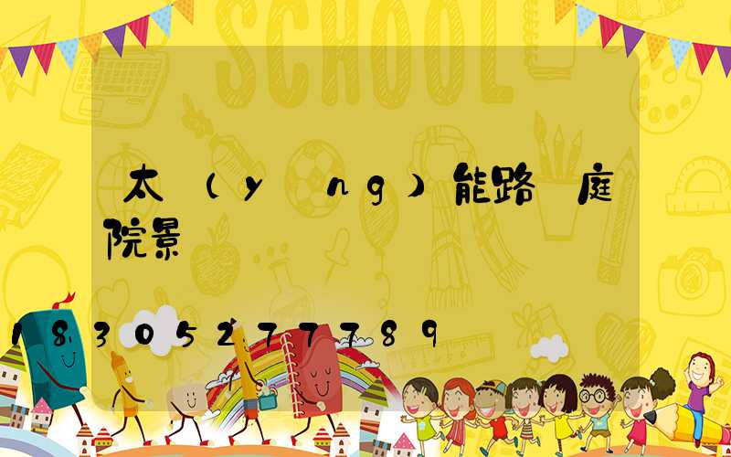 太陽(yáng)能路燈庭院景觀燈