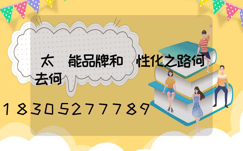 太陽能品牌和個性化之路何去何從