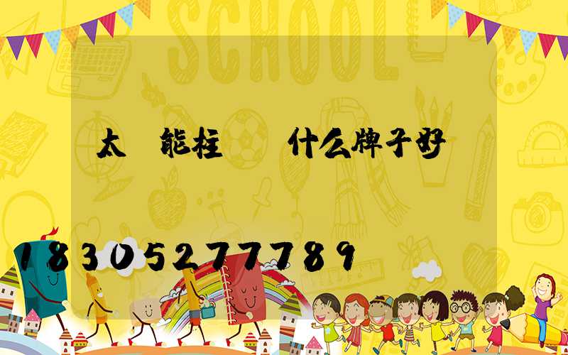 太陽能柱頭燈什么牌子好