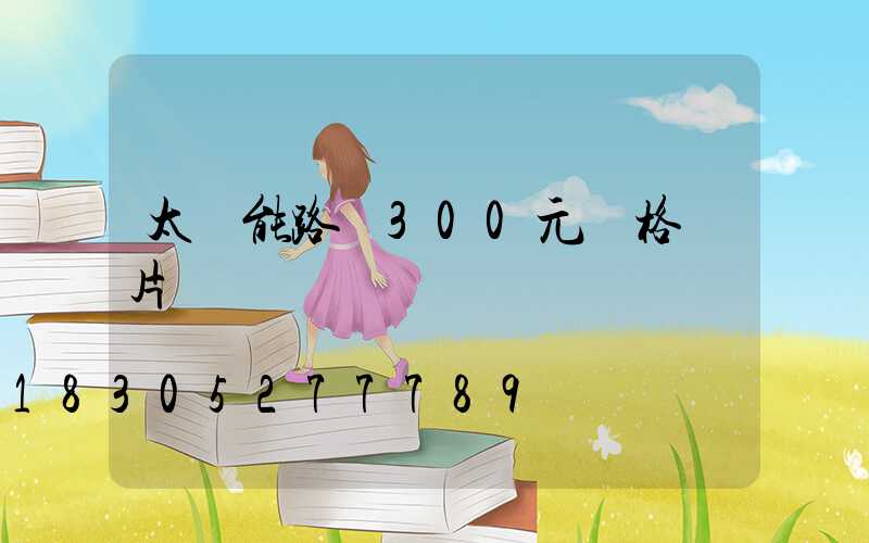 太陽能路燈300元價格圖片