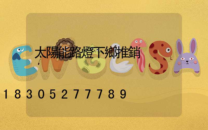 太陽能路燈下鄉推銷