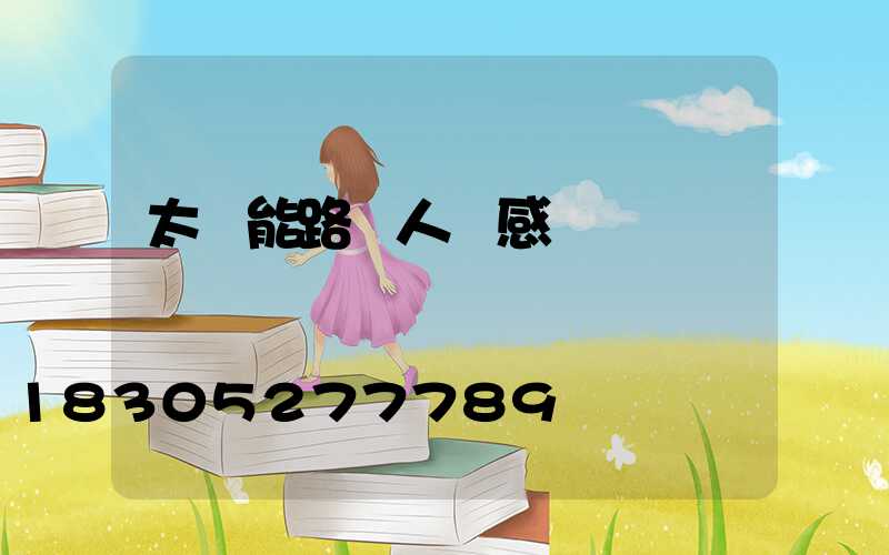 太陽能路燈人體感應燈