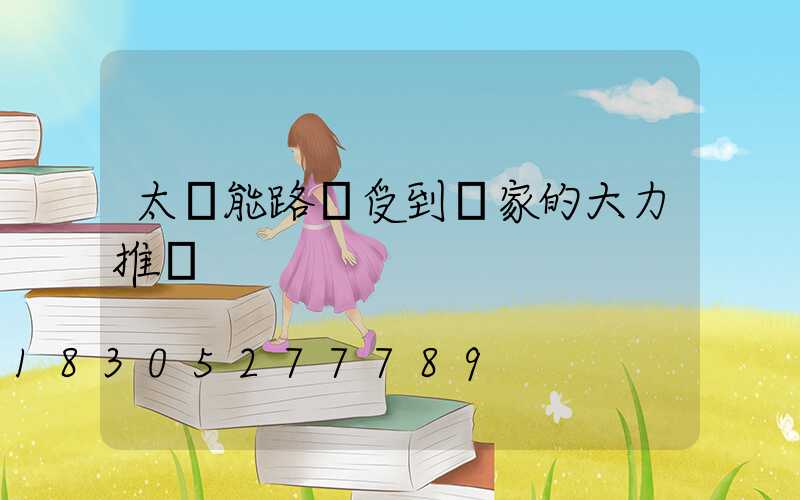 太陽能路燈受到國家的大力推廣