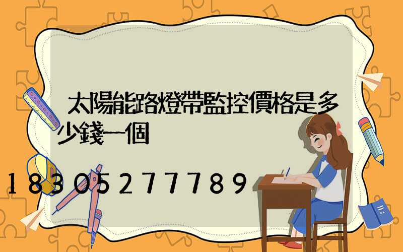 太陽能路燈帶監控價格是多少錢一個