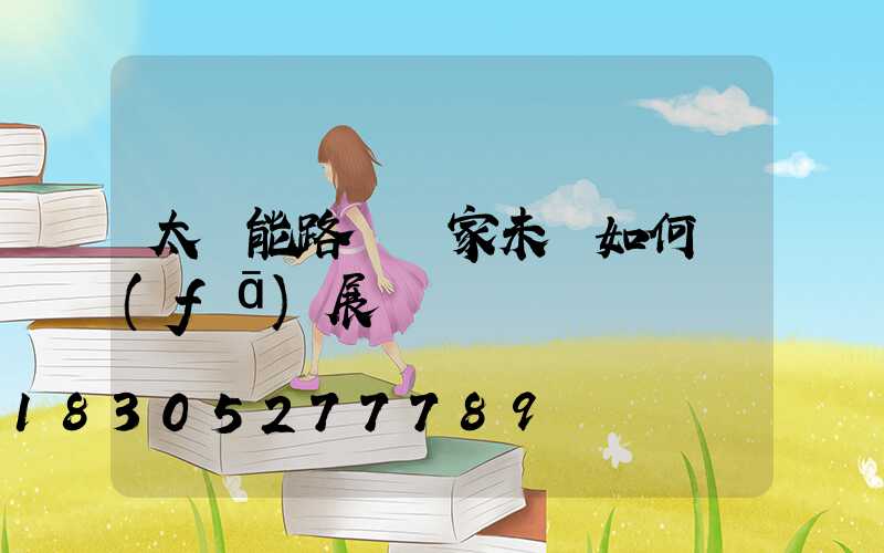 太陽能路燈廠家未來如何發(fā)展