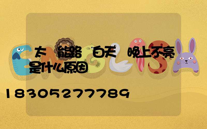 太陽能路燈白天閃晚上不亮是什么原因