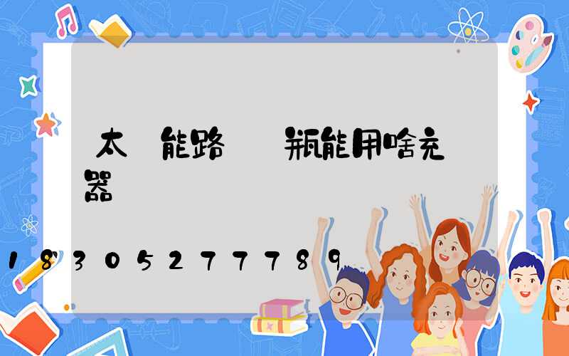 太陽能路燈電瓶能用啥充電器