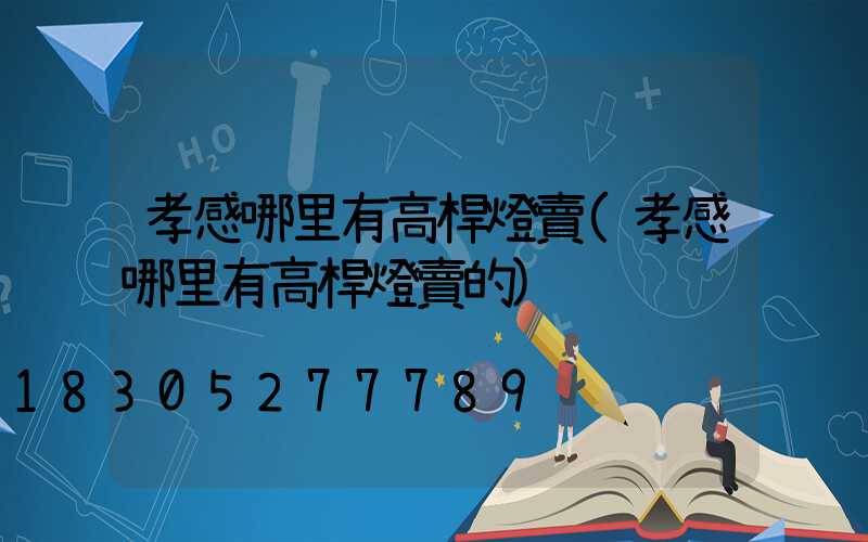 孝感哪里有高桿燈賣(孝感哪里有高桿燈賣的)