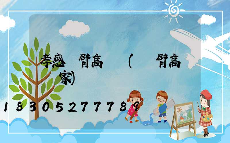 孝感單臂高桿燈(單臂高桿燈廠家)