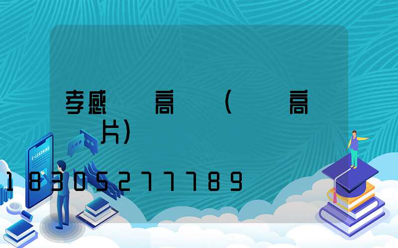 孝感機場高桿燈(機場高桿燈圖片)