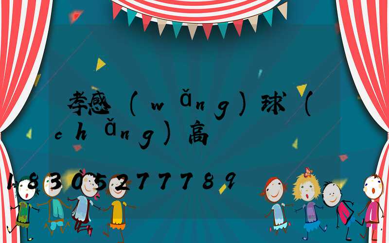 孝感網(wǎng)球場(chǎng)高桿燈