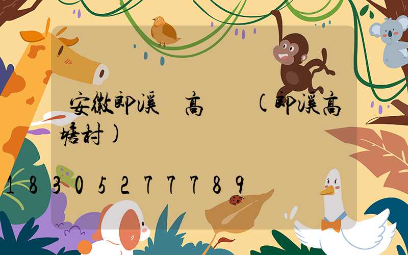 安徽郎溪縣高桿燈(郎溪高塘村)