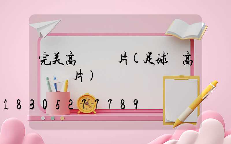 完美高桿燈圖片(足球場高桿燈圖片)