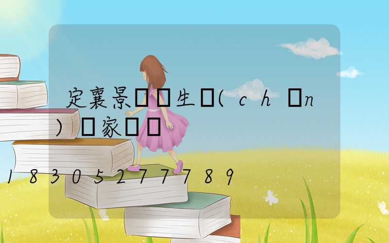 定襄景觀燈生產(chǎn)廠家電話