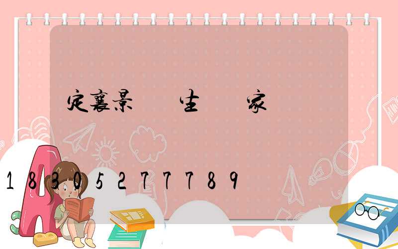 定襄景觀燈生產廠家電話