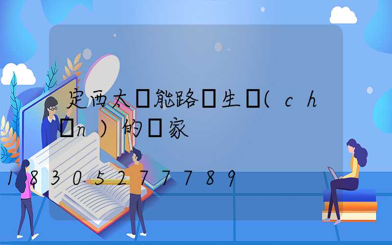 定西太陽能路燈生產(chǎn)的廠家