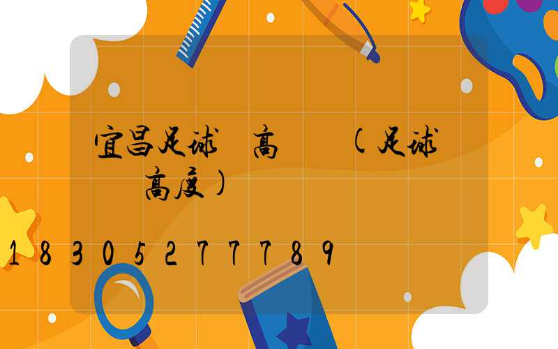 宜昌足球場高桿燈(足球場燈桿高度)