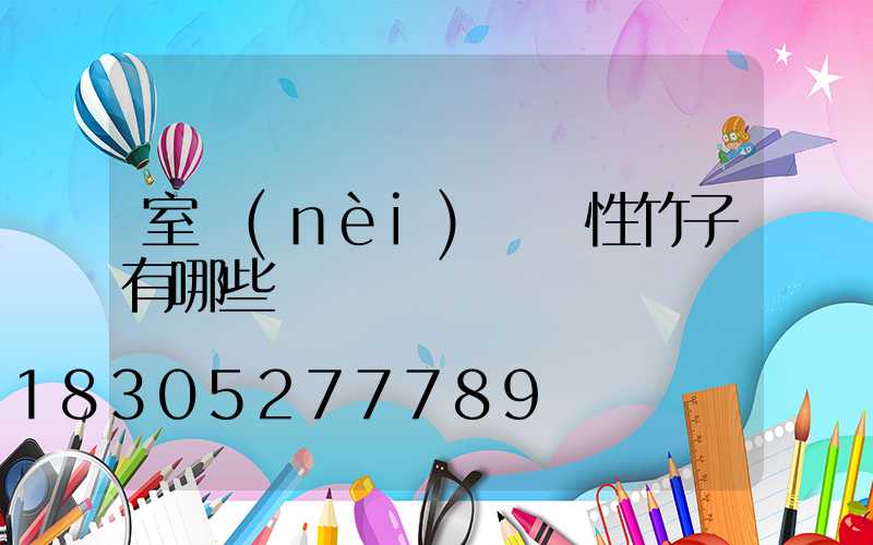 室內(nèi)觀賞性竹子有哪些