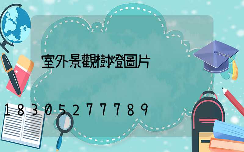 室外景觀樹燈圖片