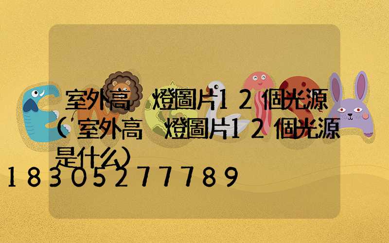 室外高桿燈圖片12個光源(室外高桿燈圖片12個光源是什么)