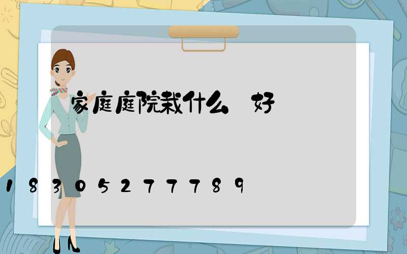 家庭庭院栽什么樹好