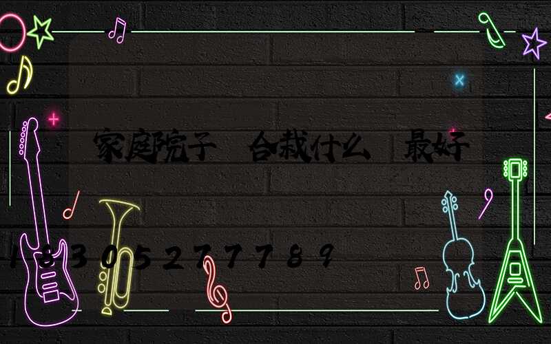 家庭院子適合栽什么樹最好