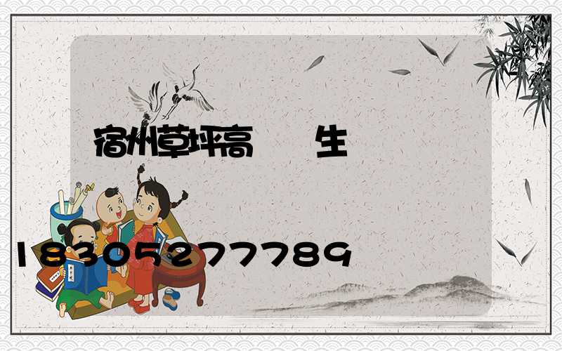 宿州草坪高桿燈生產