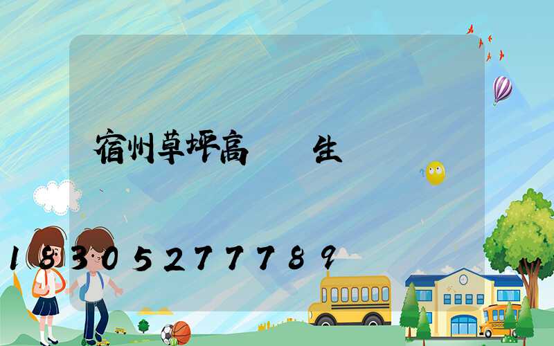 宿州草坪高桿燈生產廠