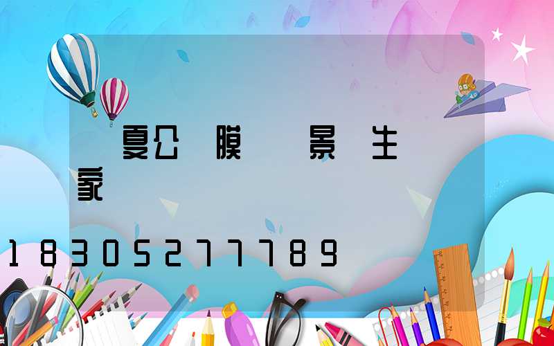 寧夏公園膜結構景觀生產廠家