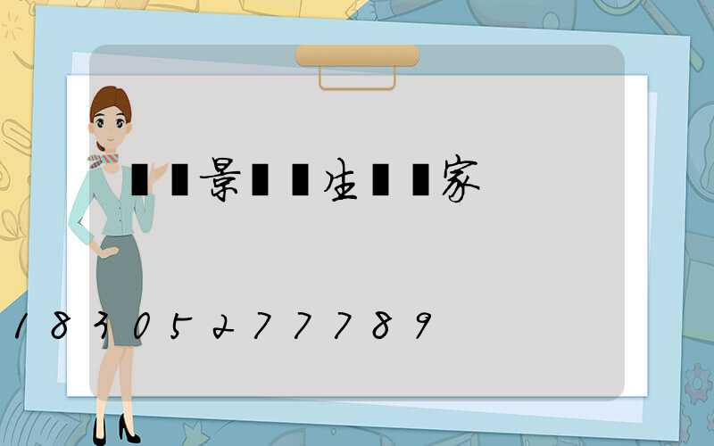 寶雞景觀燈生產廠家