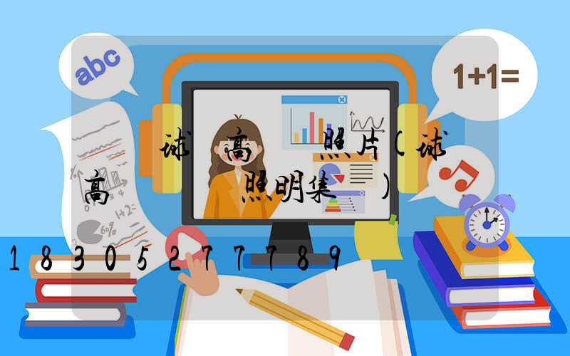 寶雞球場高桿燈照片(球場高桿燈誠陽照明集團)