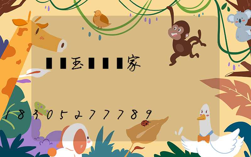 專業玉蘭燈廠家