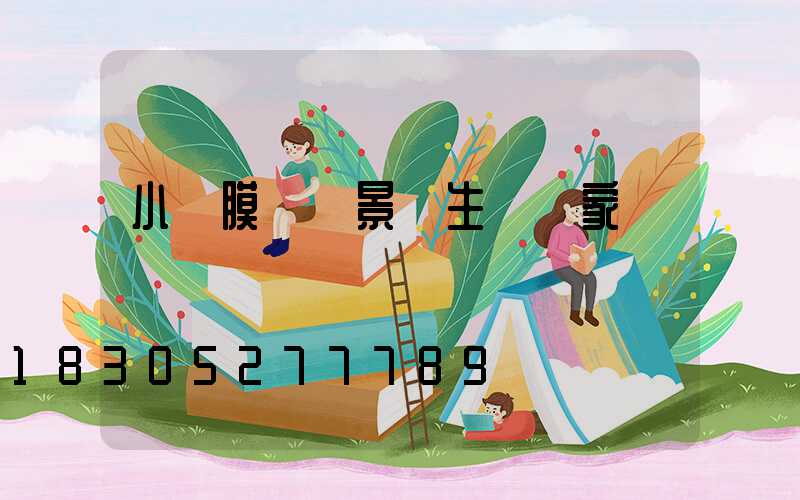 小區膜結構景觀生產廠家