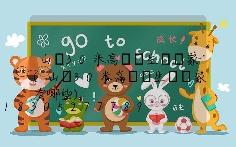 山東30米高桿燈生產廠家(山東30米高桿燈生產廠家有哪些)