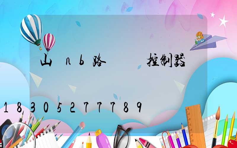 山東nb路燈單燈控制器