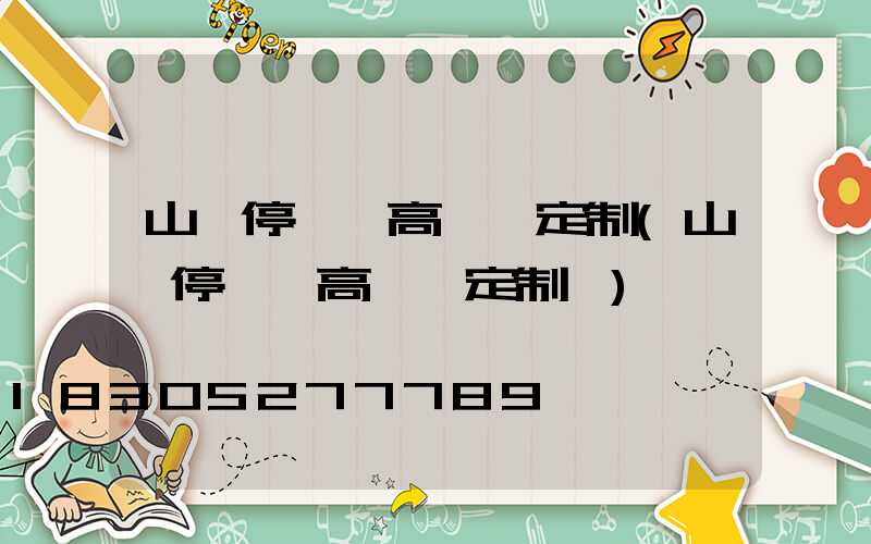 山東停車場高桿燈定制(山東停車場高桿燈定制廠)