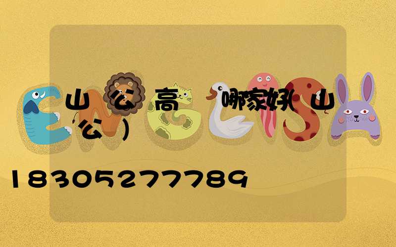 山東公園高桿燈哪家好(山東公園)