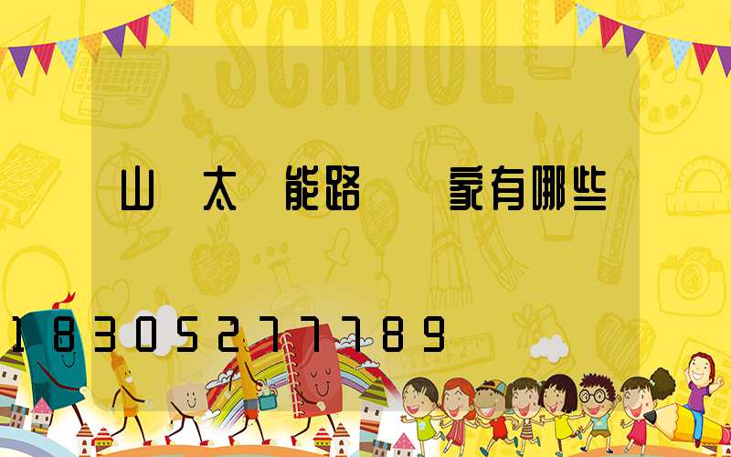 山東太陽能路燈廠家有哪些