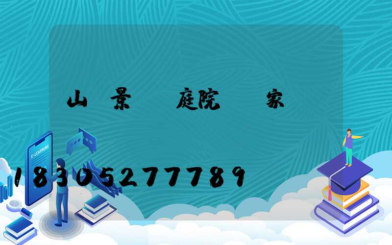 山東景觀燈庭院燈廠家