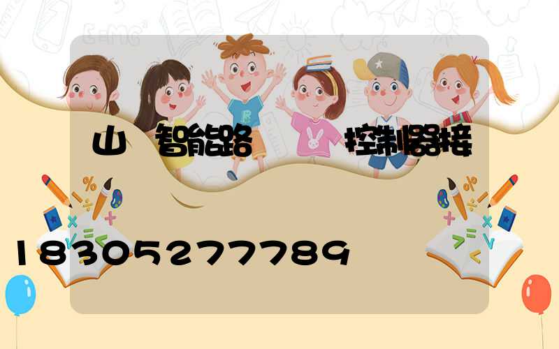 山東智能路燈單燈控制器接線