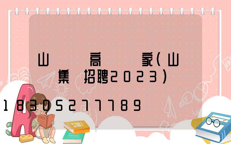 山東機場高桿燈廠家(山東機場集團招聘2023)