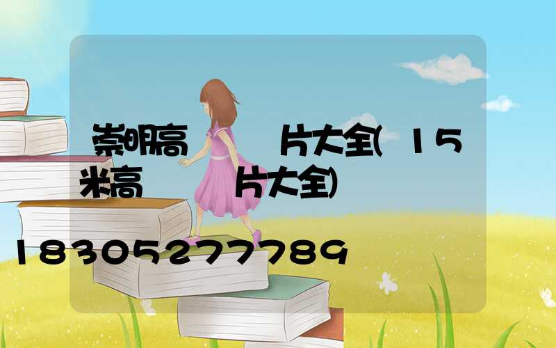 崇明高桿燈圖片大全(15米高桿燈圖片大全)