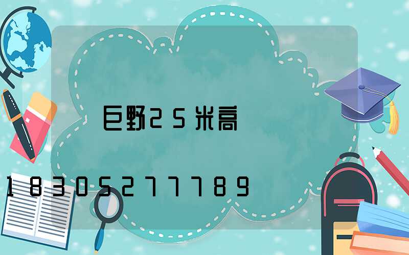 巨野25米高桿燈