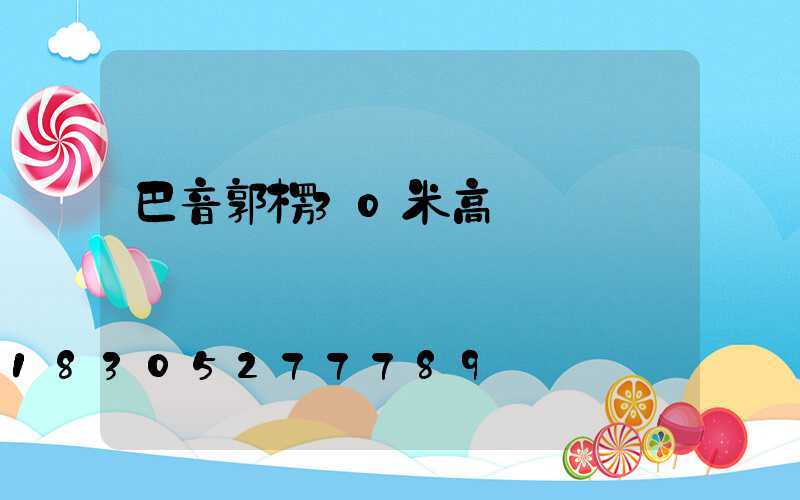 巴音郭楞30米高桿燈