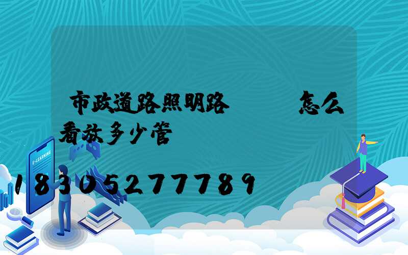 市政道路照明路燈圖紙怎么看放多少管