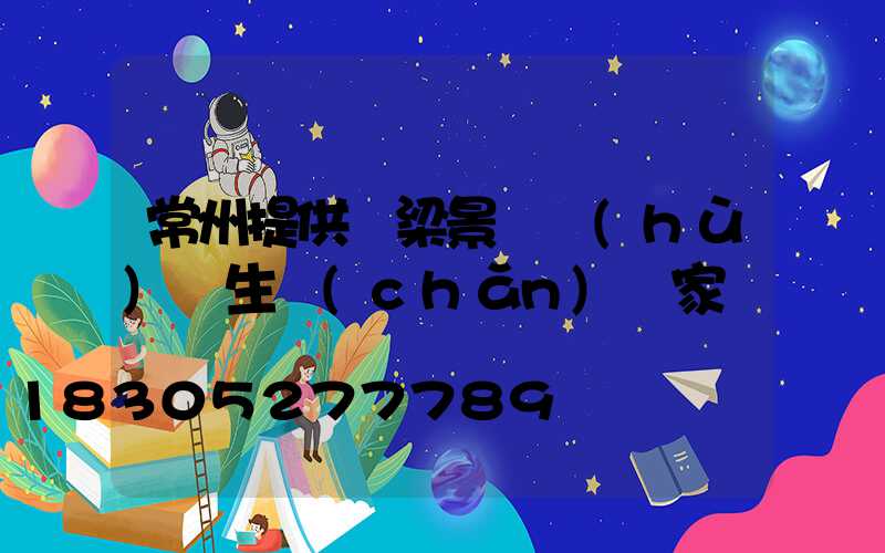 常州提供橋梁景觀護(hù)欄生產(chǎn)廠家