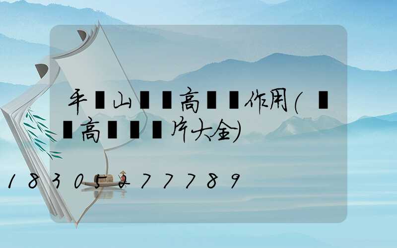 平頂山廣場高桿燈作用(廣場高桿燈圖片大全)